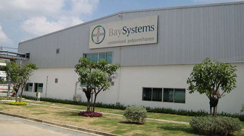 Bayer Pur System House Plant