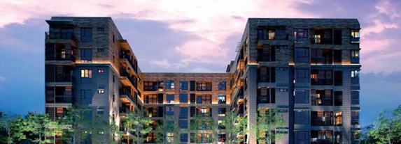 Sync Nature (8 Storeys)