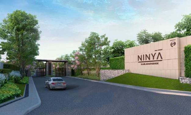 นินญา กัลปพฤกษ